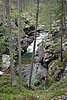 DSC05601.JPG