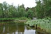 DSC05613.JPG