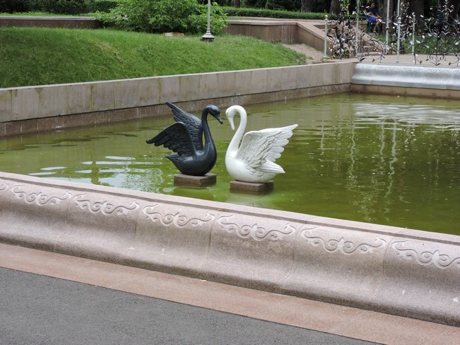 DSCN1686.JPG