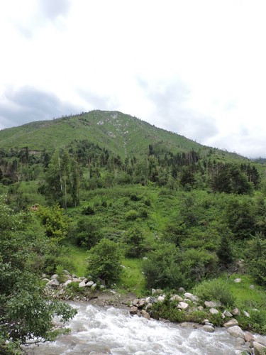 DSCN1743.JPG