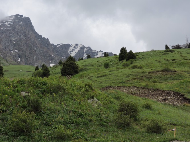 DSCN1763.JPG