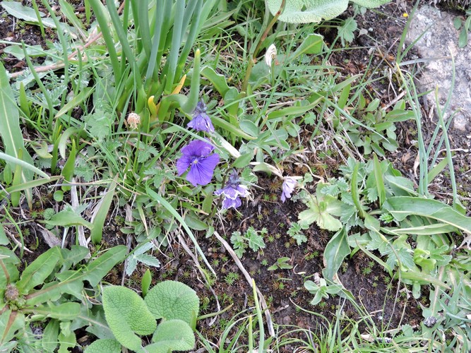 DSCN1772.JPG