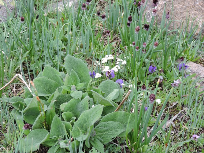 DSCN1773.JPG