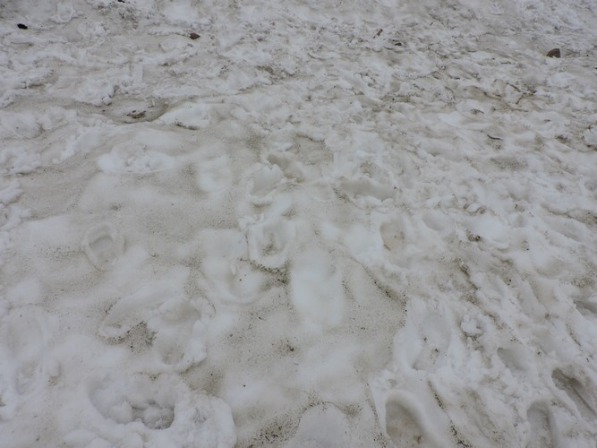 DSCN1778.JPG
