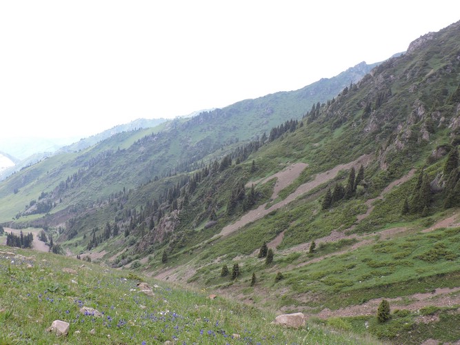 DSCN1805.JPG