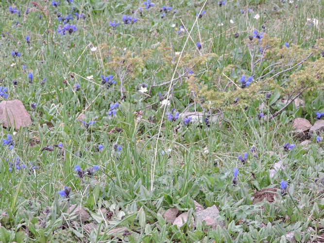 DSCN1806.JPG