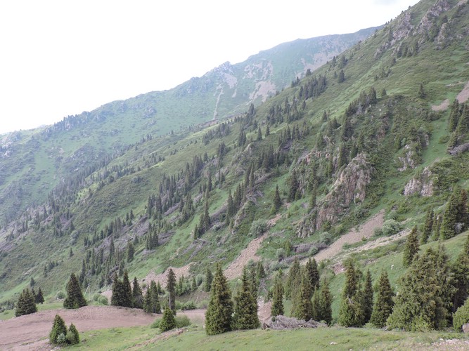 DSCN1810.JPG