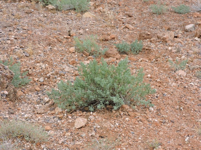 DSCN1884.JPG