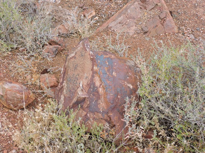 DSCN1886.JPG