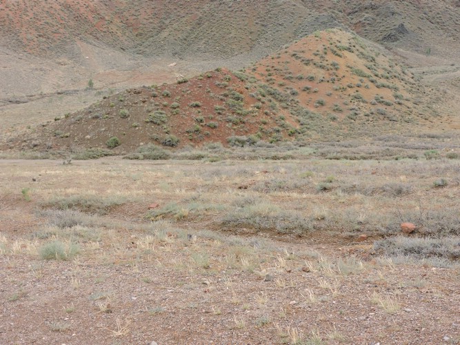 DSCN1889.JPG