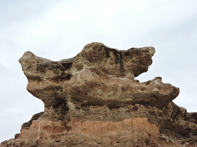 DSCN1893.JPG