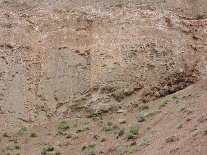 DSCN1910.JPG