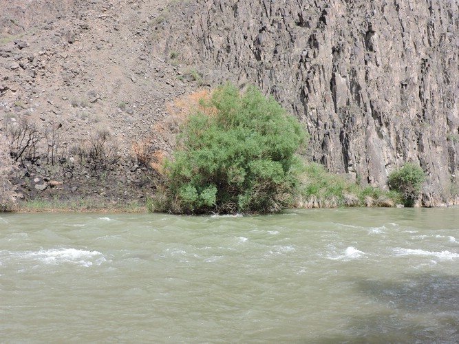 DSCN1933.JPG
