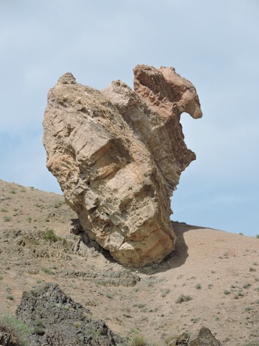 DSCN1936.JPG