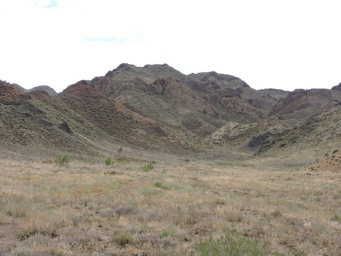 DSCN1952.JPG