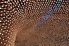 DSCN1545c_DSC05189.JPG