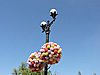 DSCN1553.JPG
