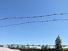 DSCN1633.JPG