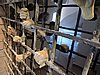 DSCN1647.JPG