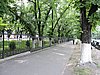 DSCN1675.JPG