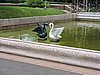 DSCN1686.JPG