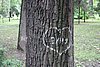 DSCN1741c_DSC05279.JPG