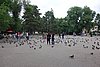 DSCN1741c_DSC05295.JPG