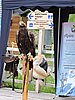 DSCN1750b.JPG