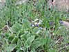DSCN1773.JPG