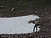 DSCN1787.JPG
