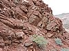 DSCN1887.JPG