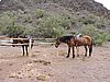 DSCN1925.JPG