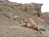 DSCN1950.JPG