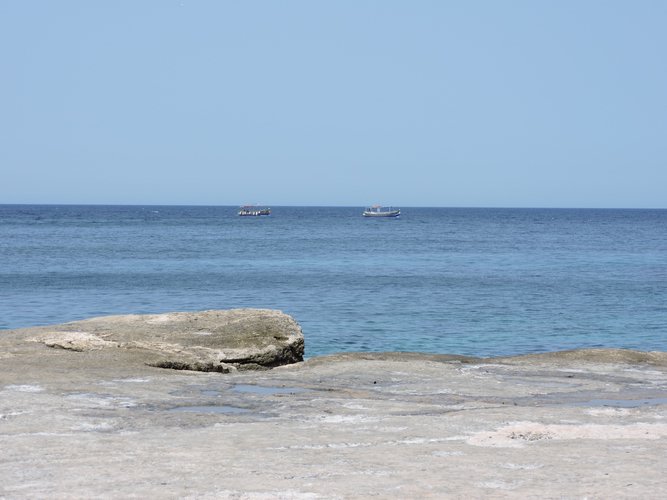 DSCN1025.JPG