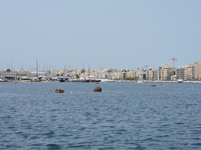DSCN1041.JPG