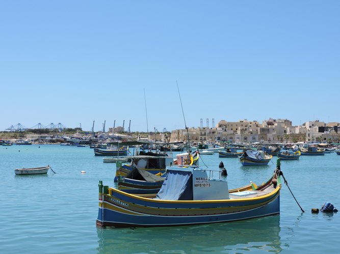 DSCN1238.JPG