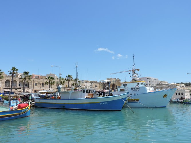 DSCN1239.JPG