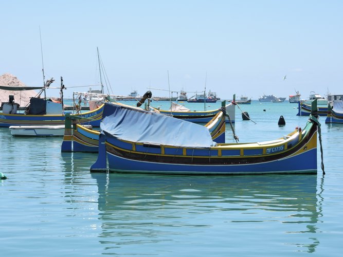 DSCN1262.JPG