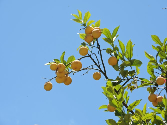 DSCN1271.JPG