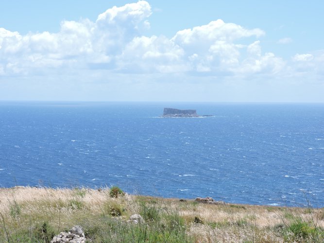 DSCN1294.JPG