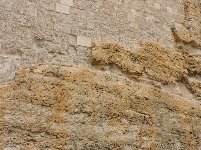 DSCN1385.JPG