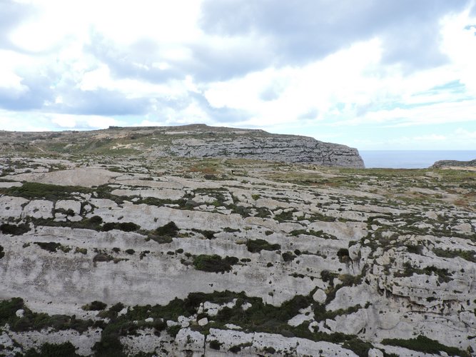 DSCN1393.JPG