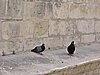 DSCN1095.JPG