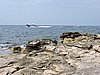 DSCN1174.JPG