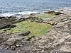 DSCN1177.JPG