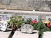 DSCN1204.JPG