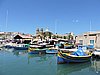DSCN1236.JPG
