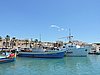 DSCN1239.JPG
