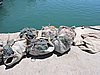 DSCN1241.JPG