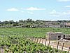 DSCN1275.JPG